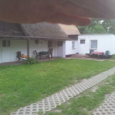 Fewo1 Born Zewnętrze zdjęcie